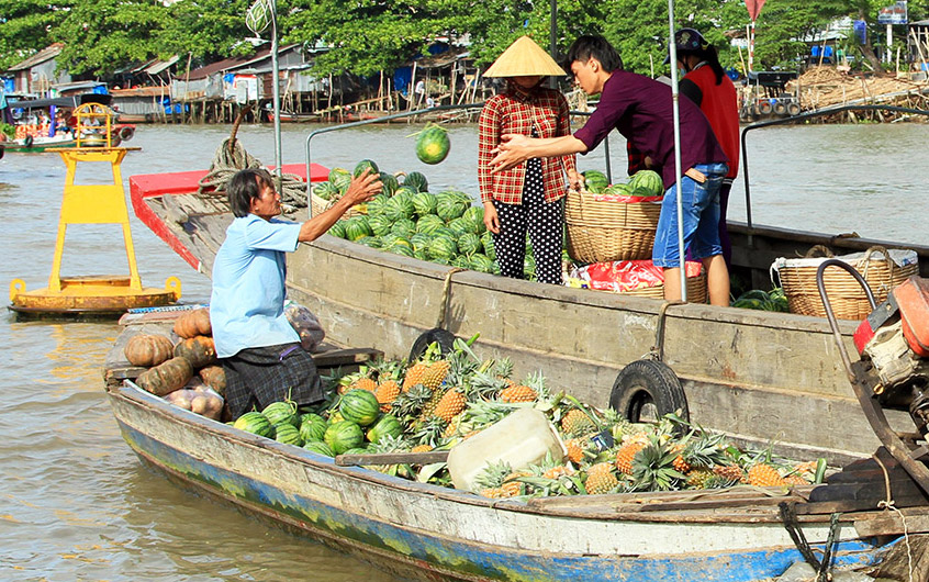 Mekong Delta Discovery - 7 Days - Vietnam & Cambodia Tours